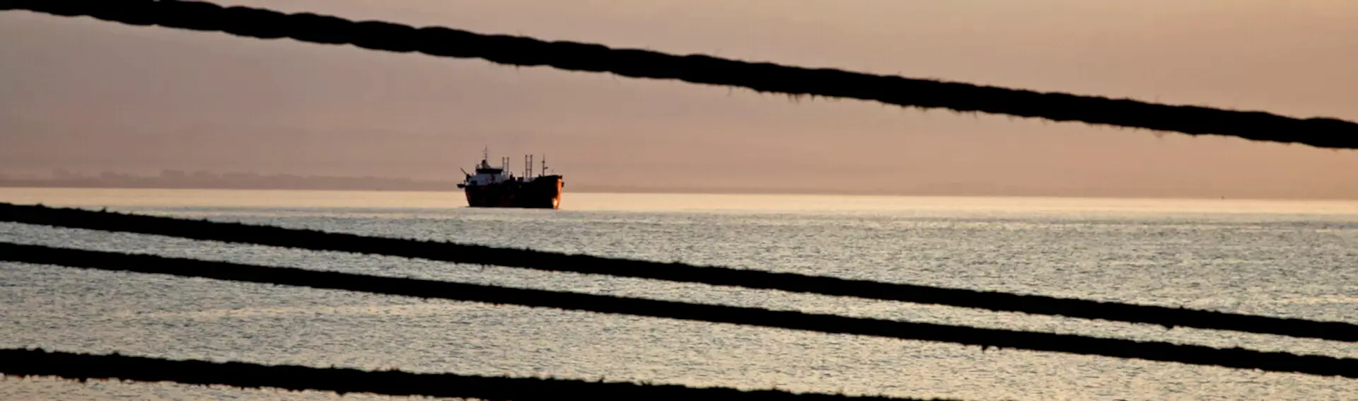 Liman Hizmetleri Liman Hizmetleri